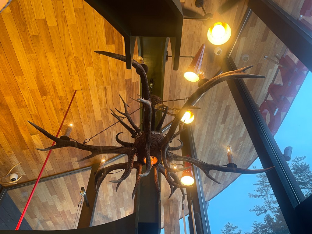 deer antlers decorating a light fixture