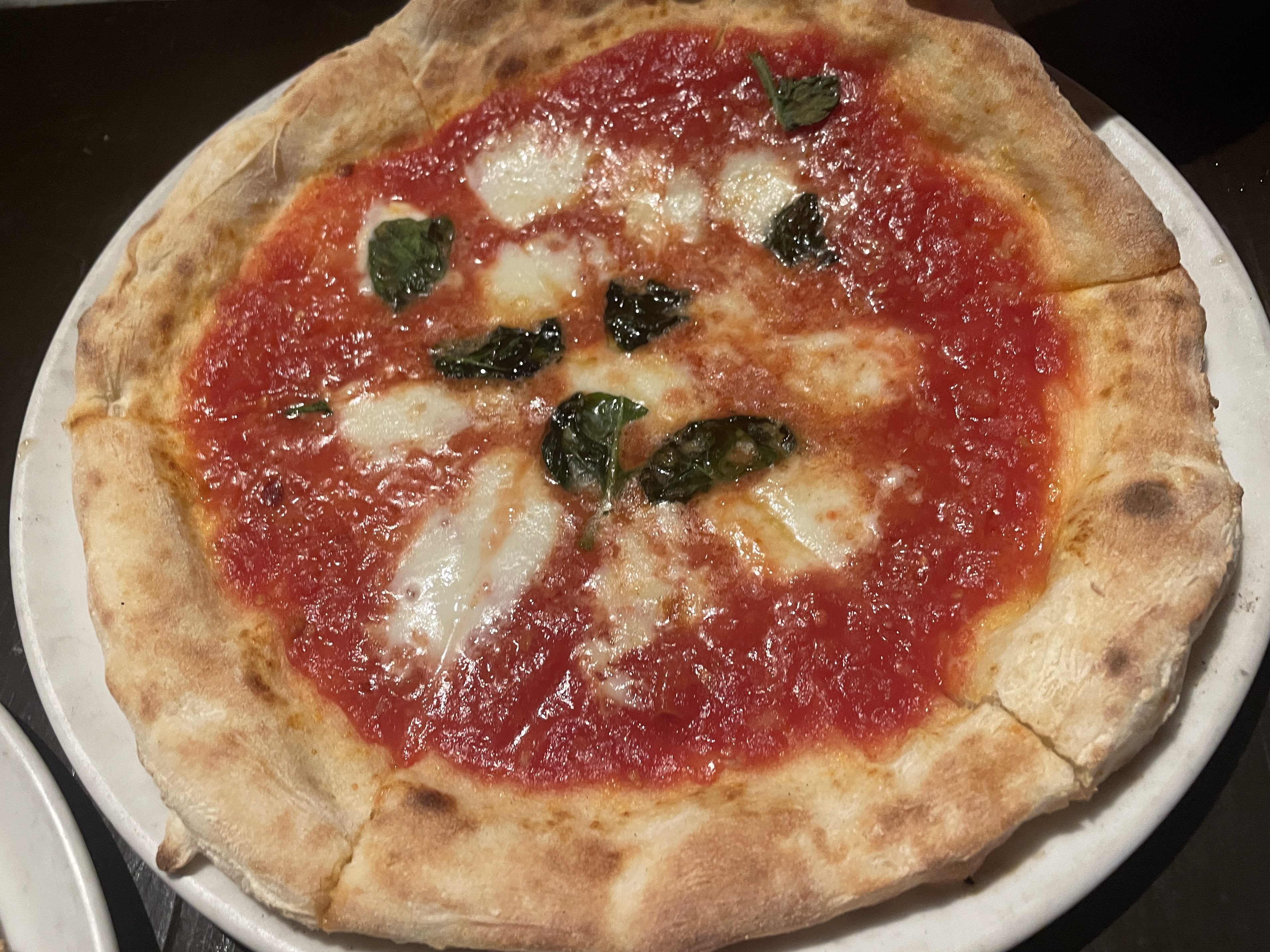 A margherita pizza on a white plate