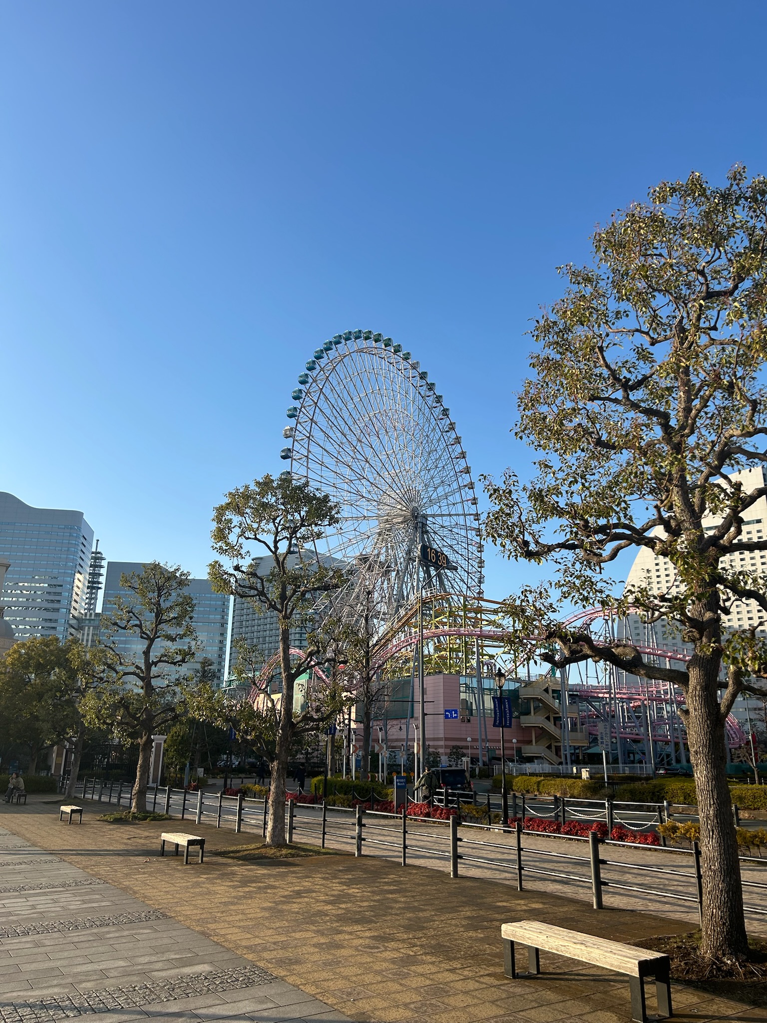 Yokohama's Cosmo World theme park on a sunny day from a walk way lined with trees. Largest is the giant ferris wheel, the Cosmo Clock.