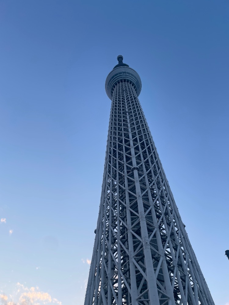 Tokyo sky tree observation tower in daylight
